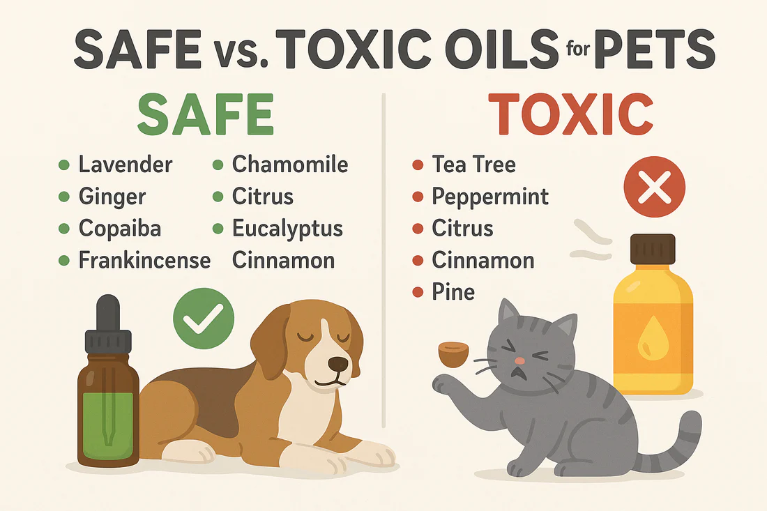 Lire la suite à propos de l’article Huiles essentielles:  comment choisir et utiliser en toute sécurité pour son chien ?